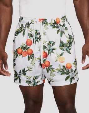 Budget - friendly fashion Nike Club Flow Mesh Shorts Fashion museums