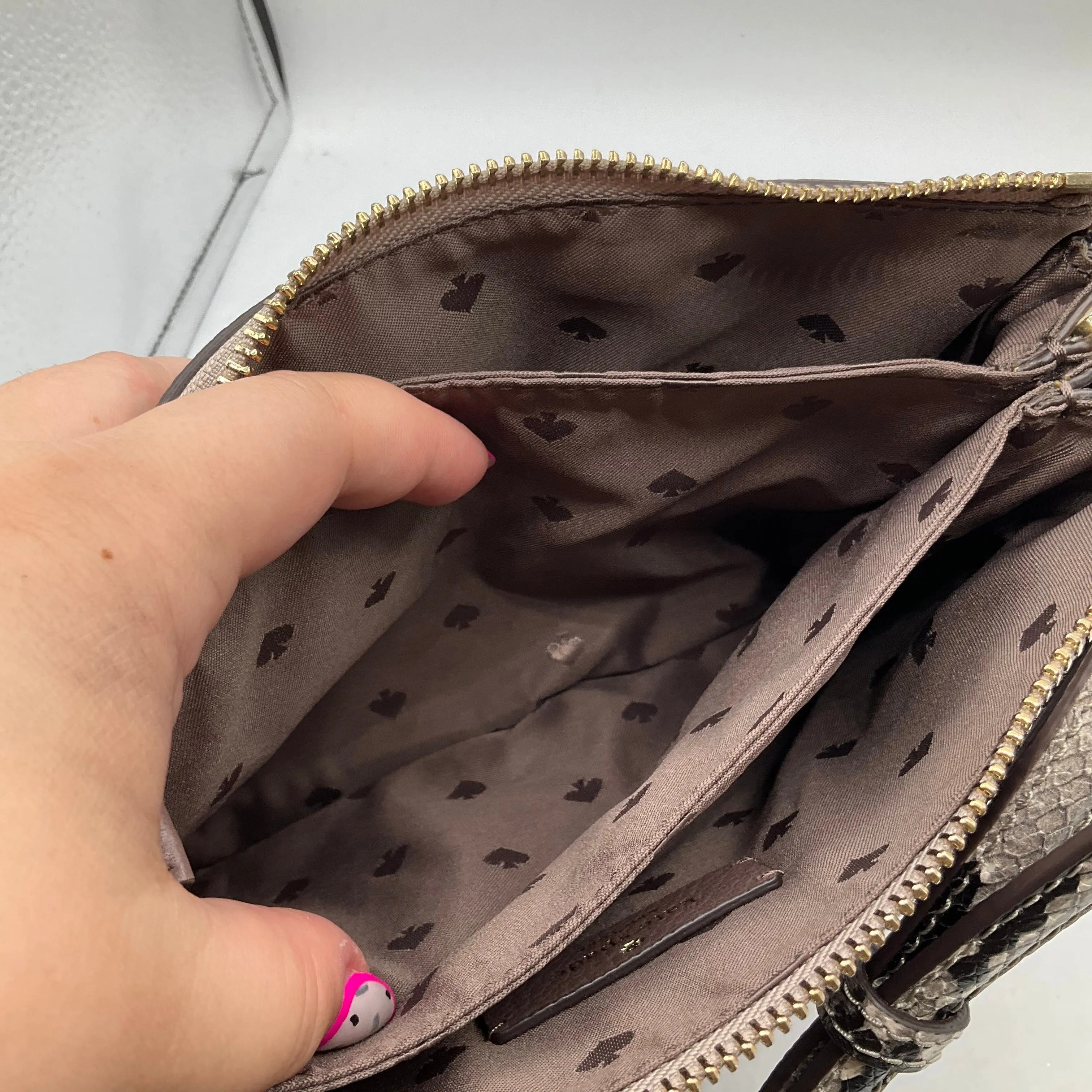 Crossbody Designer Kate Spade, Size Small Kate Spade Bags