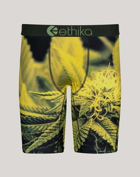 Ethika Green Haze Boxer Briefs Free shipping offers Retro fashion finds