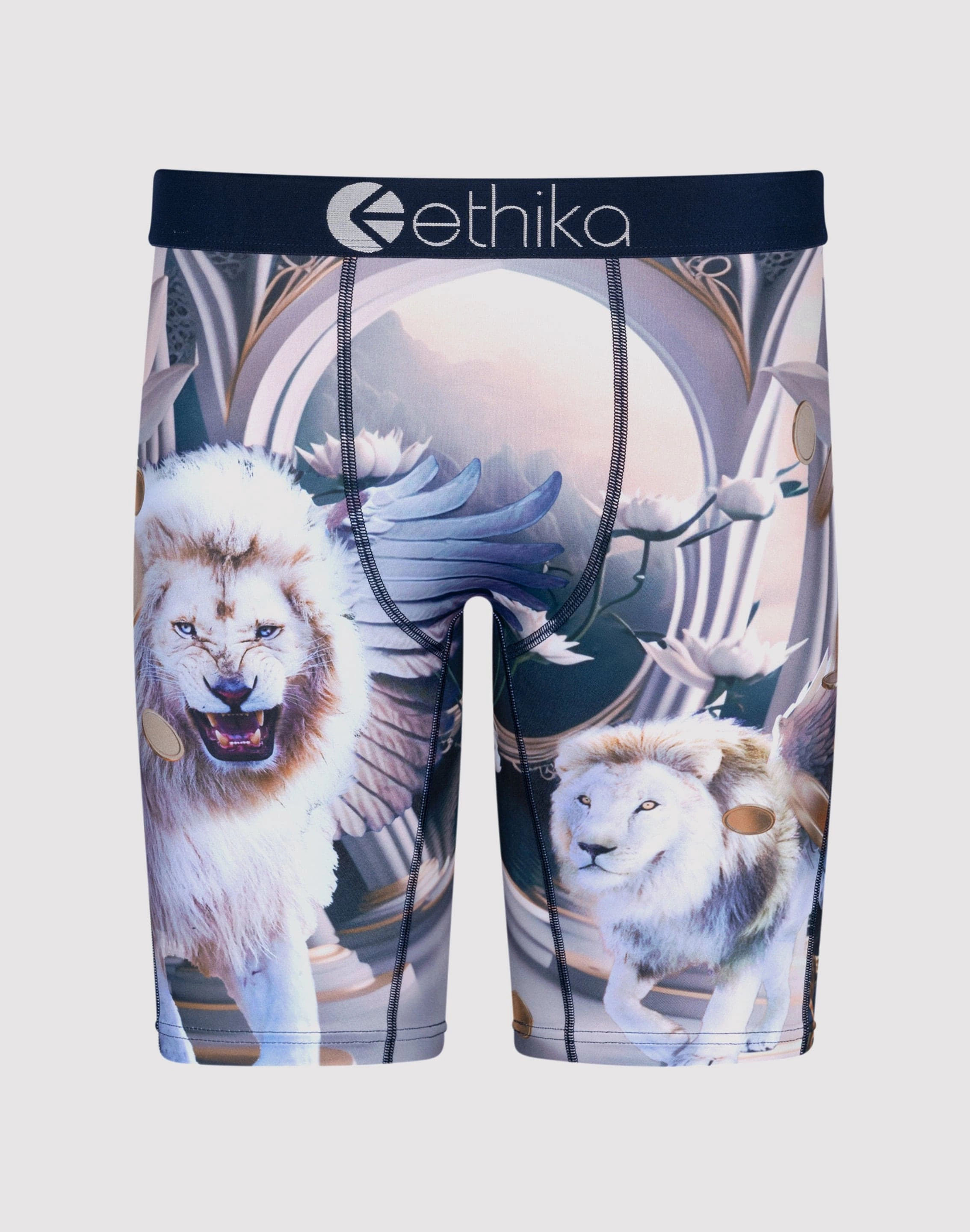 Ethika Heavenly Beasts Boxer Briefs Workwear options Fashion accessories