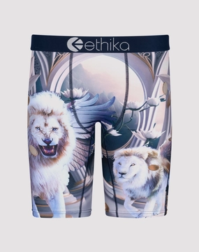Ethika Heavenly Beasts Boxer Briefs Workwear options Printed fashion