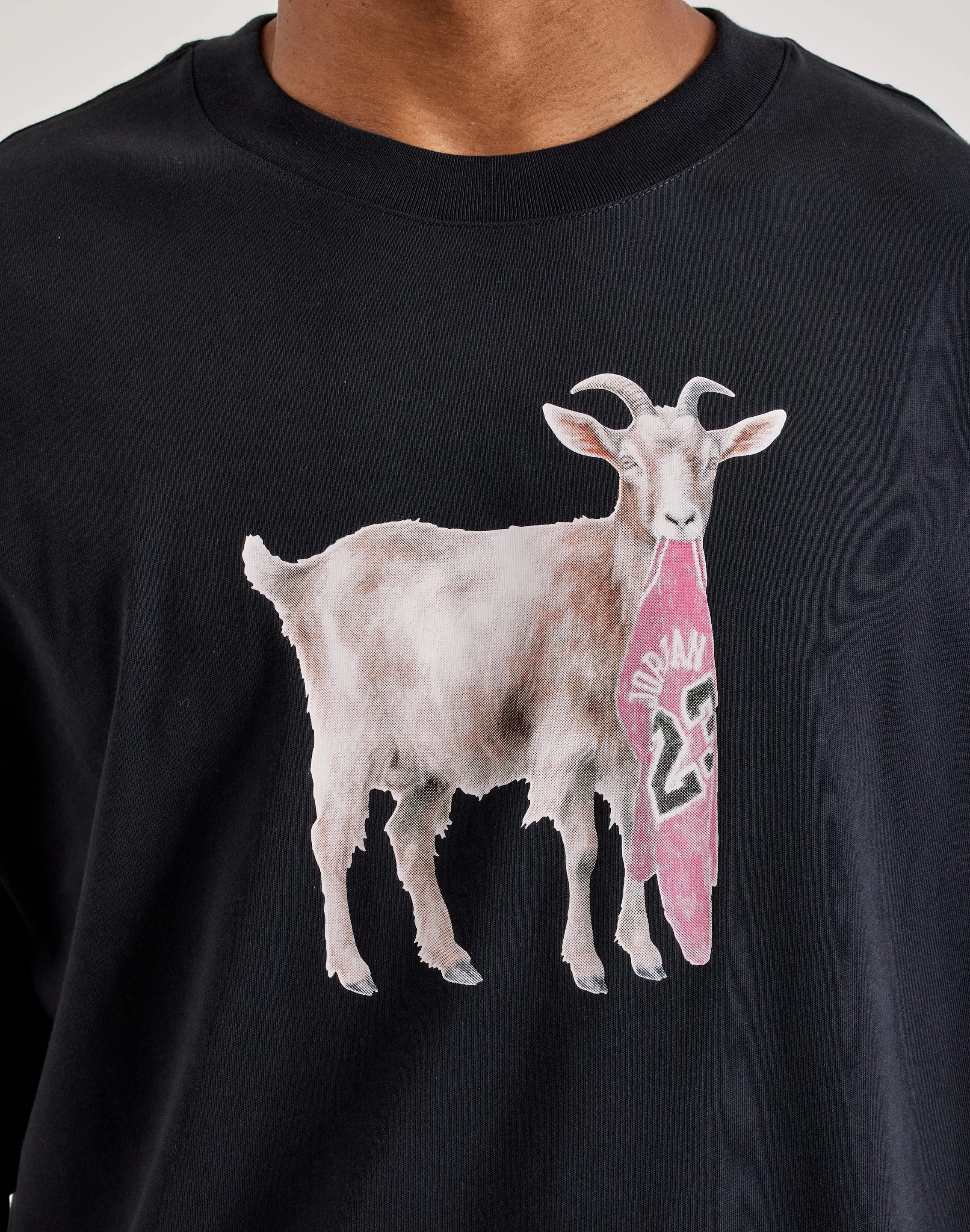 Everyday wear Jordan GOAT Tee