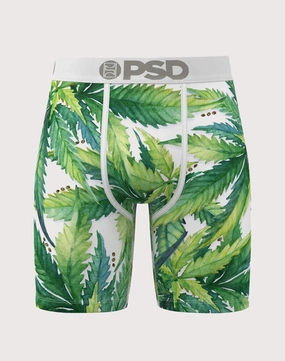 Fashion culture Psd Underwear Seeds & Stems Underwear Fashion forecasting