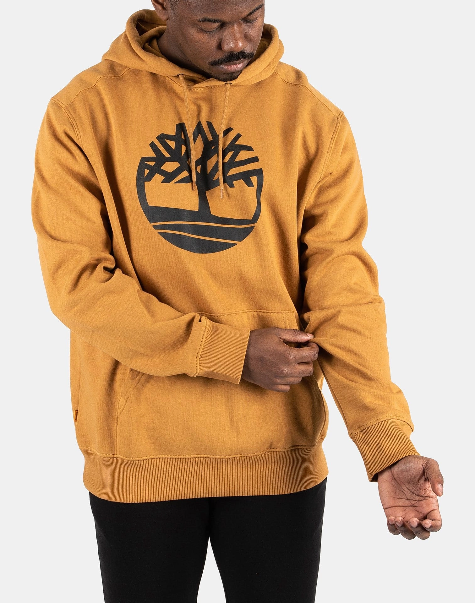 Fashion brands Timberland Core Tree Logo Pullover Hoodie Fashion forecasting