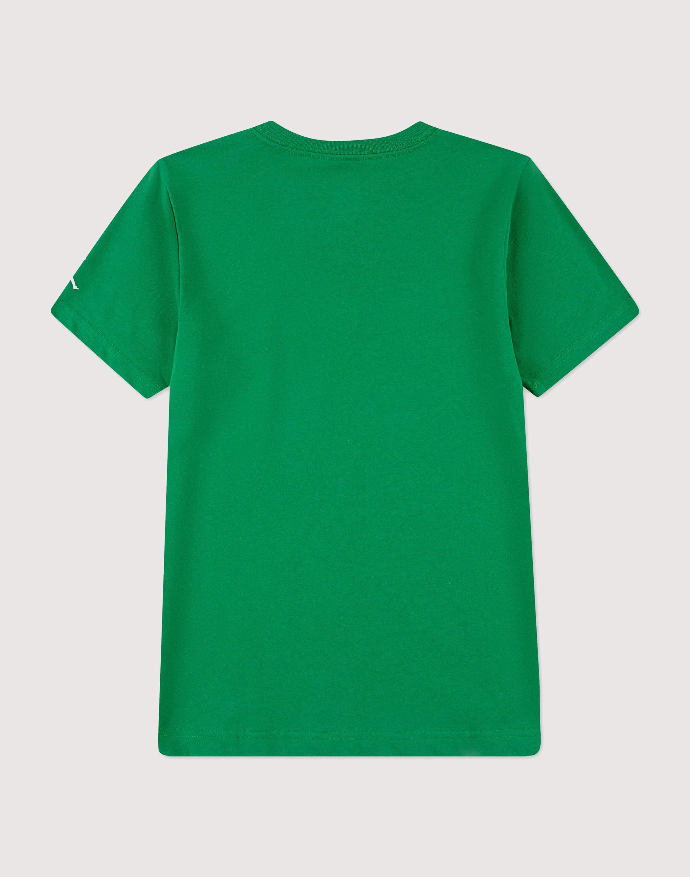 Jordan Jordan 23 Mesh Big Boys' Green Tee Wool - sourced fashion