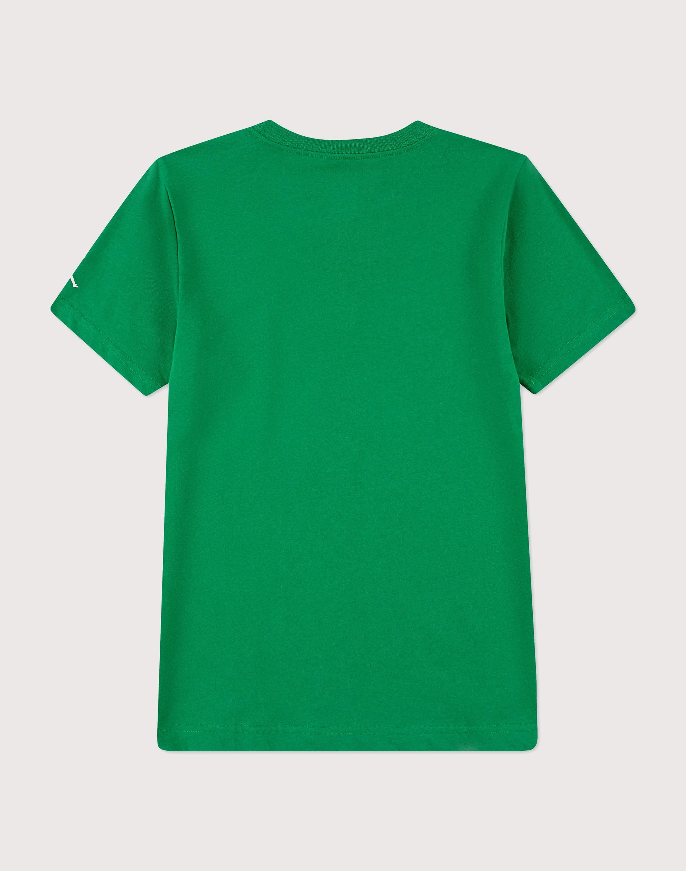 Jordan Jordan 23 Mesh Big Boys' Green Tee Wool - sourced fashion