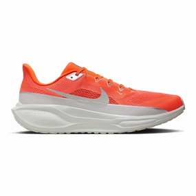 Nike Air Zoom Pegasus 41 PRM Protected Stable