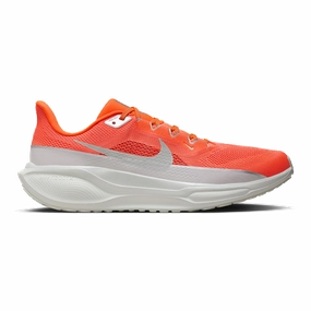 Nike Air Zoom Pegasus 41 PRM Protected Stable