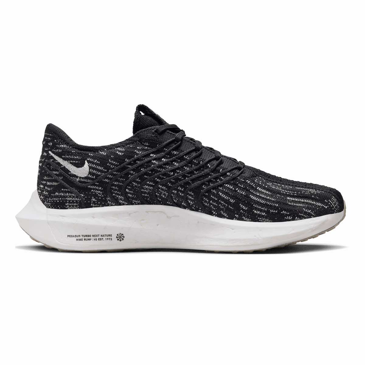 Nike Pegasus Turbo Next Nature Sharp Spirited