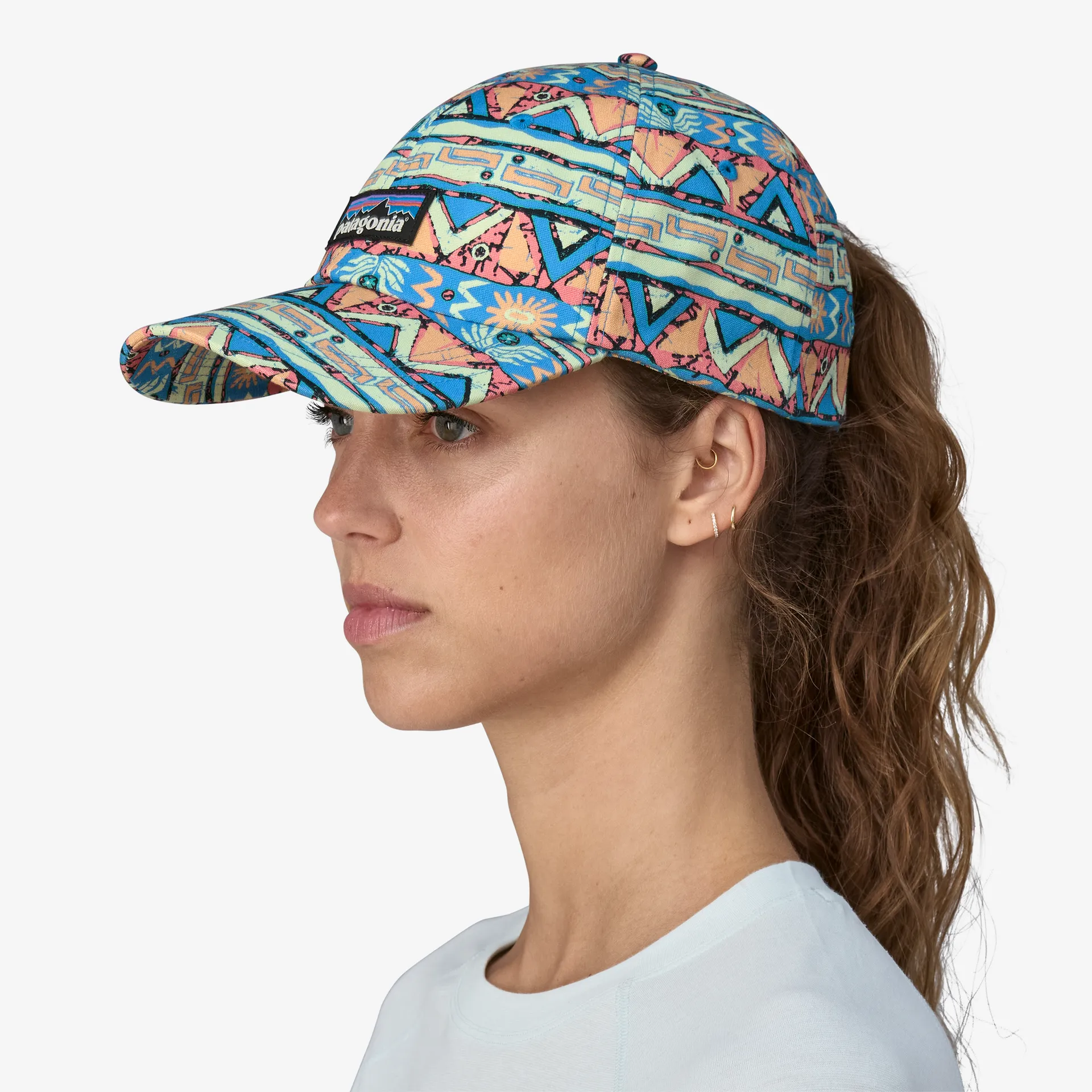Patagonia Mens Hats & Accessories P-6 Label Trad Cap