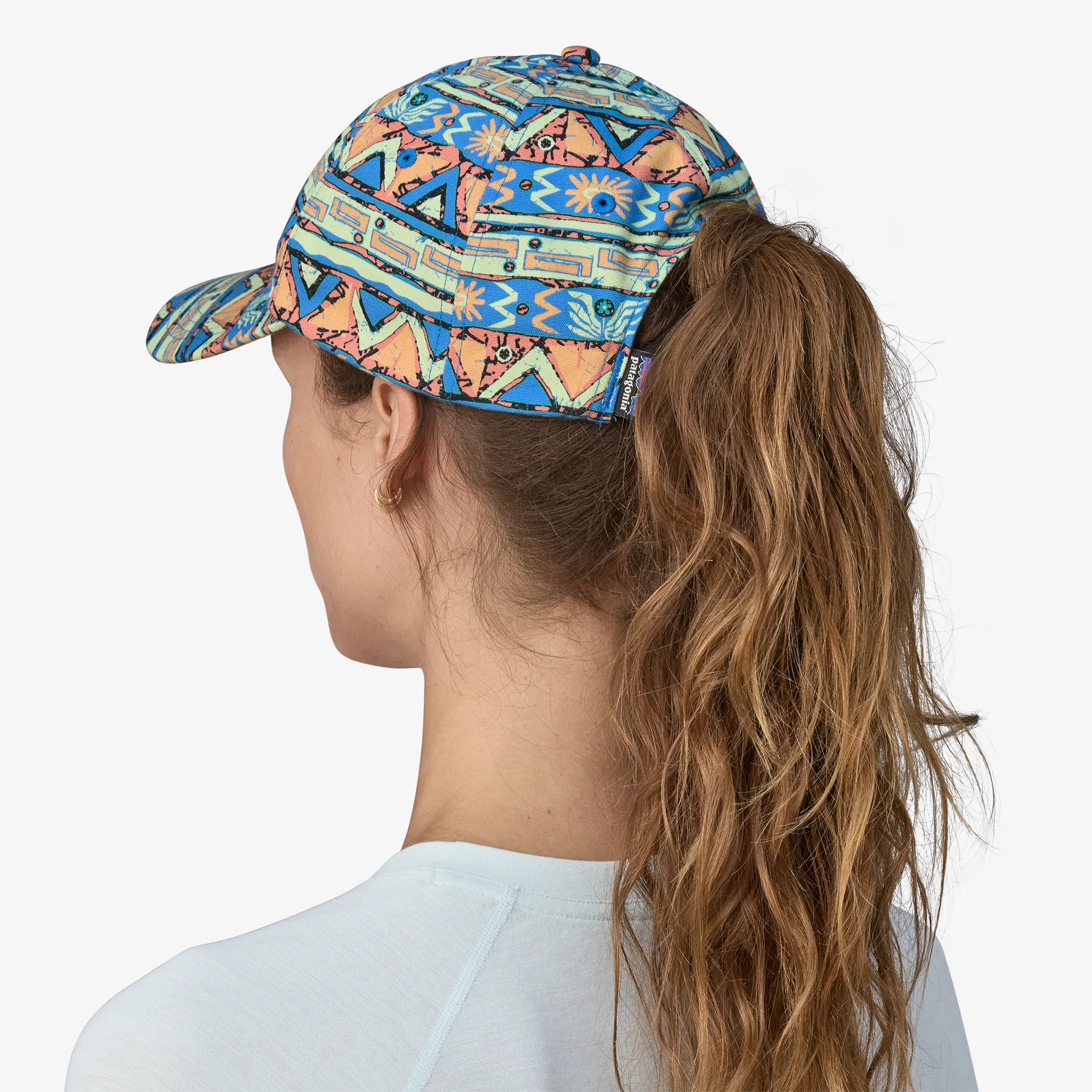 Patagonia Mens Hats & Accessories P-6 Label Trad Cap