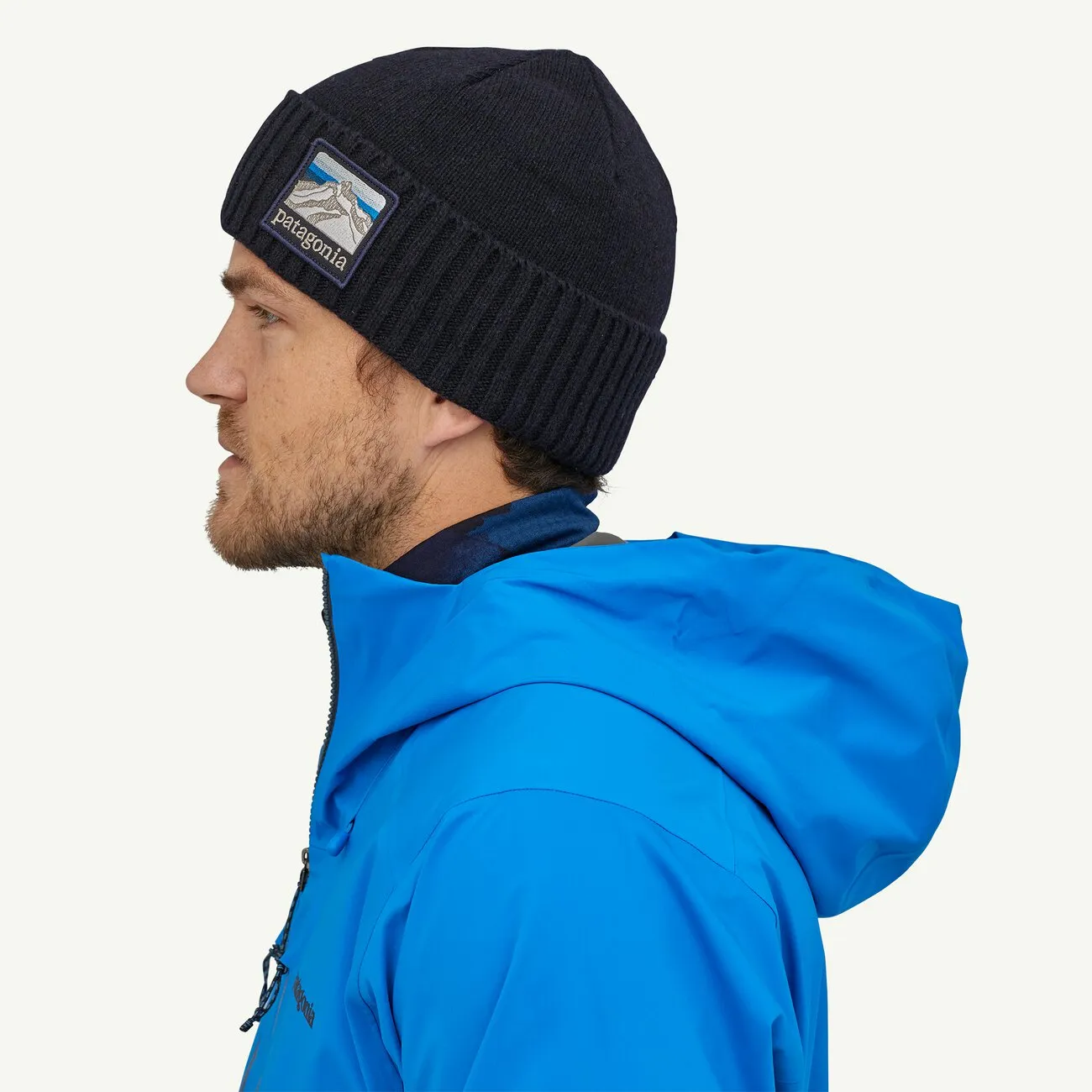 Patagonia Womens Hats & Accessories Brodeo Beanie