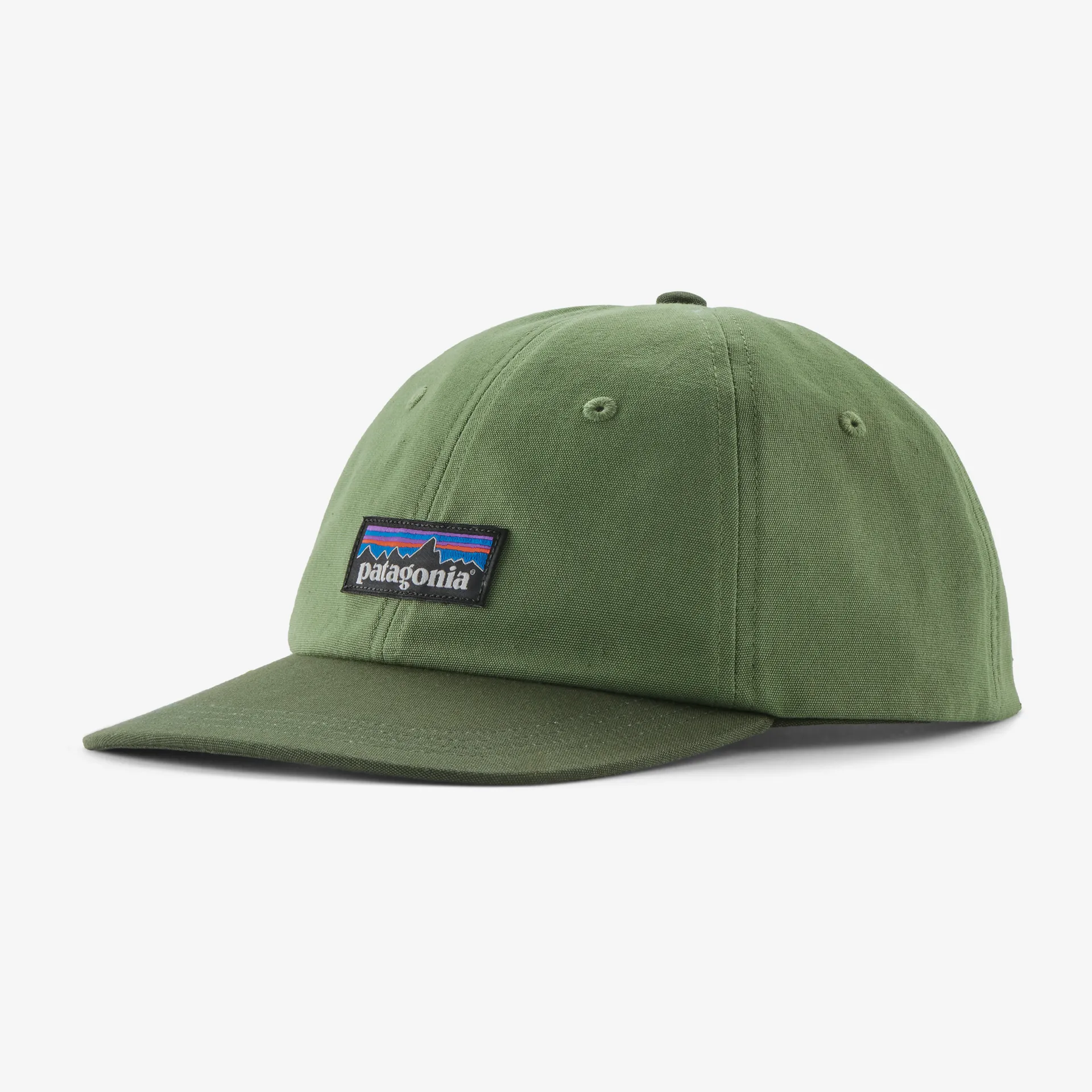 Patagonia Womens Hats & Accessories P-6 Label Trad Cap