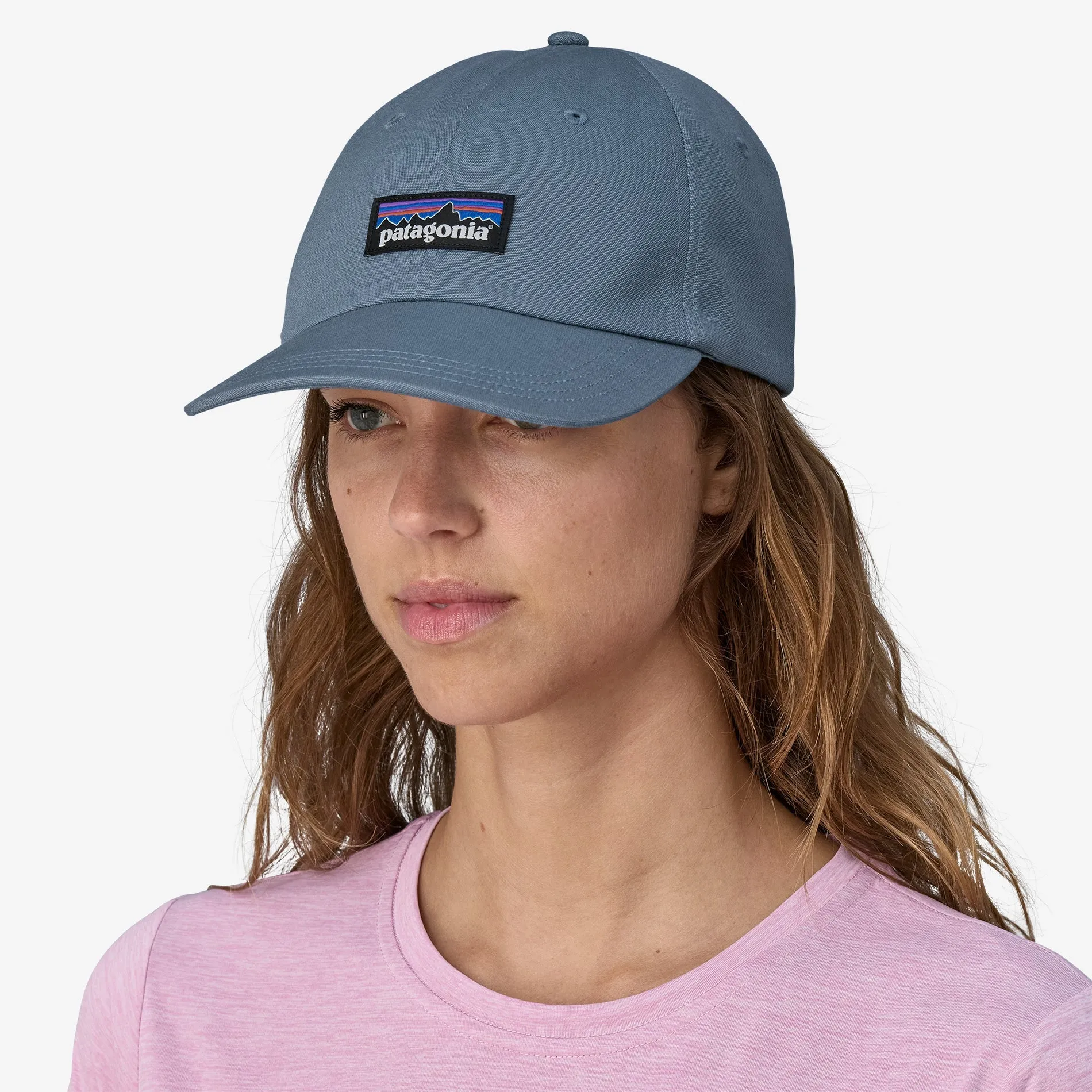 Patagonia Womens Hats & Accessories P-6 Label Trad Cap