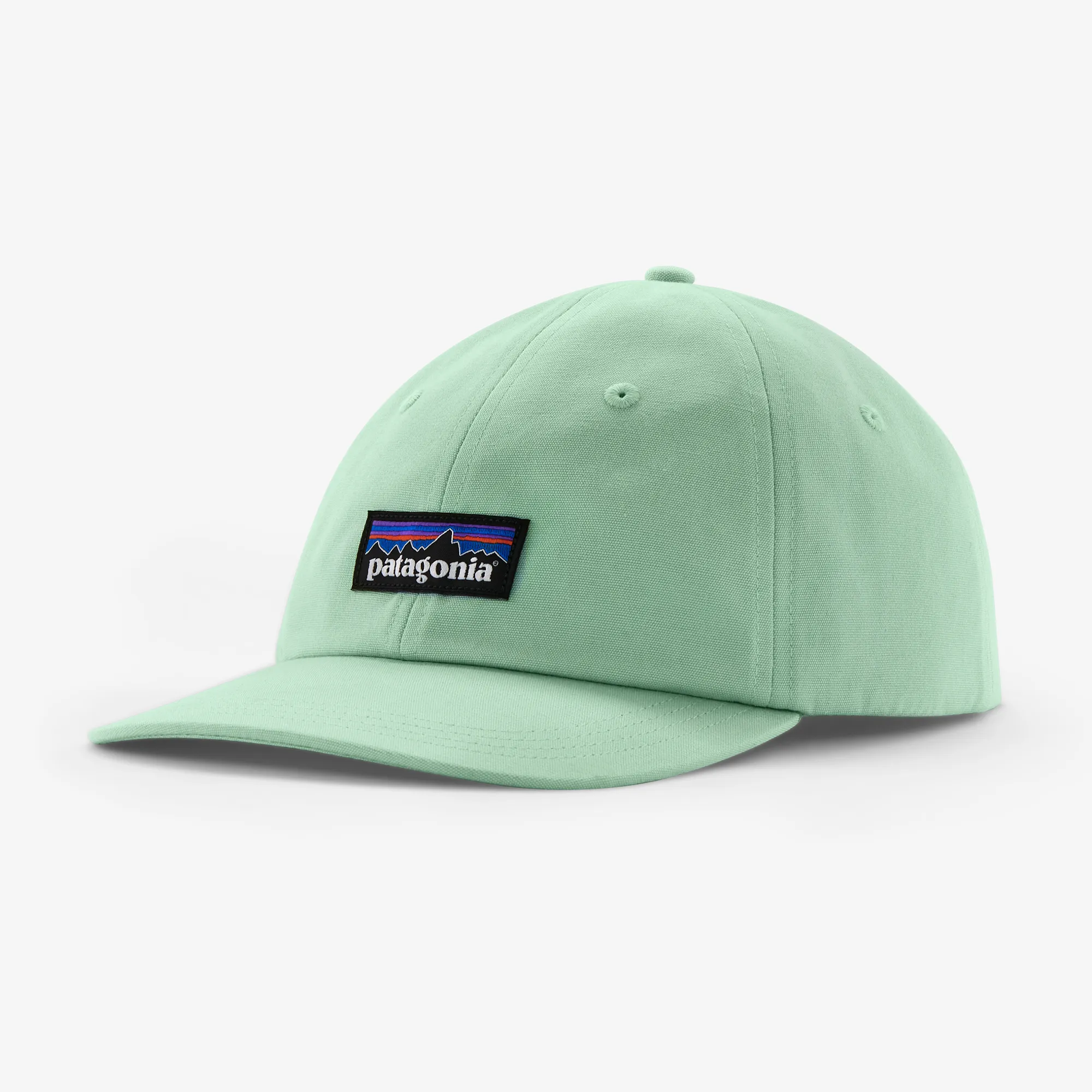 Patagonia Womens Hats & Accessories P-6 Label Trad Cap
