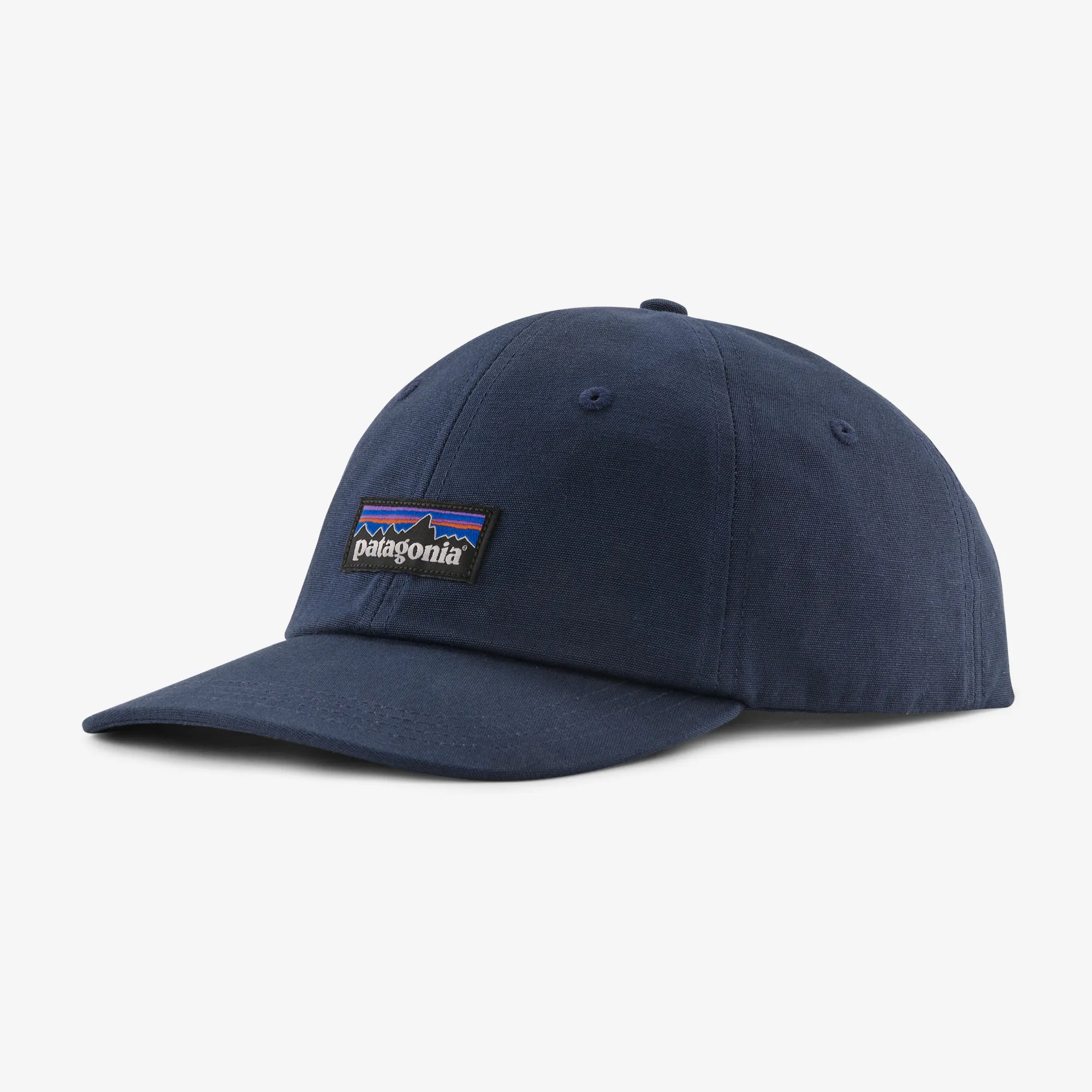 Patagonia Womens Hats & Accessories P-6 Label Trad Cap