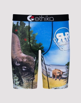 Patterned fashion (floral, stripes, etc.) Ethika Bustin Buffalo Boxer Briefs Business casual wear