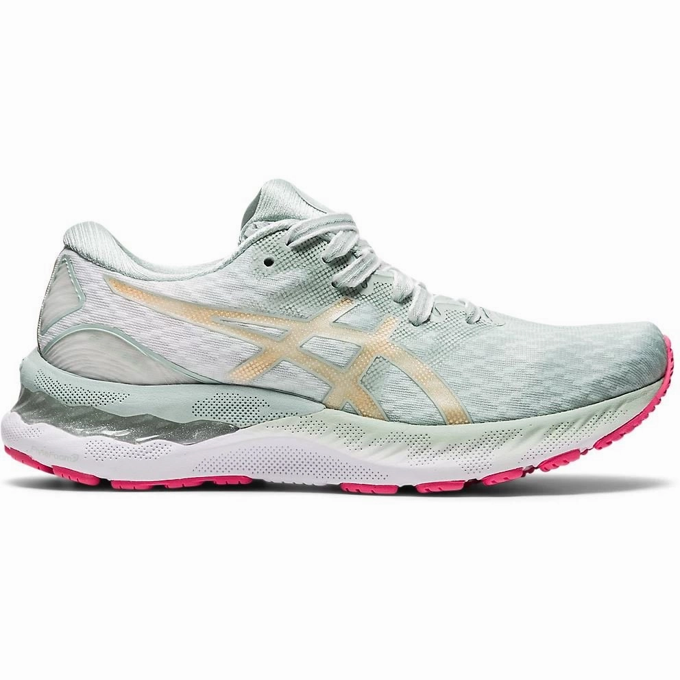 Women's ASICS Gel-Nimbus 23 (Lichen Rock/Champagne)